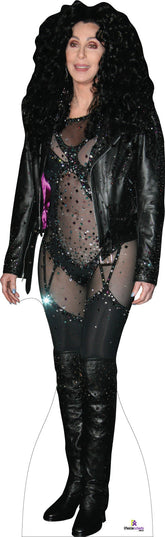 Cher 349 Celebrity Cutout